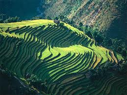 Agricultural Tours
